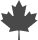 Maple Leaf